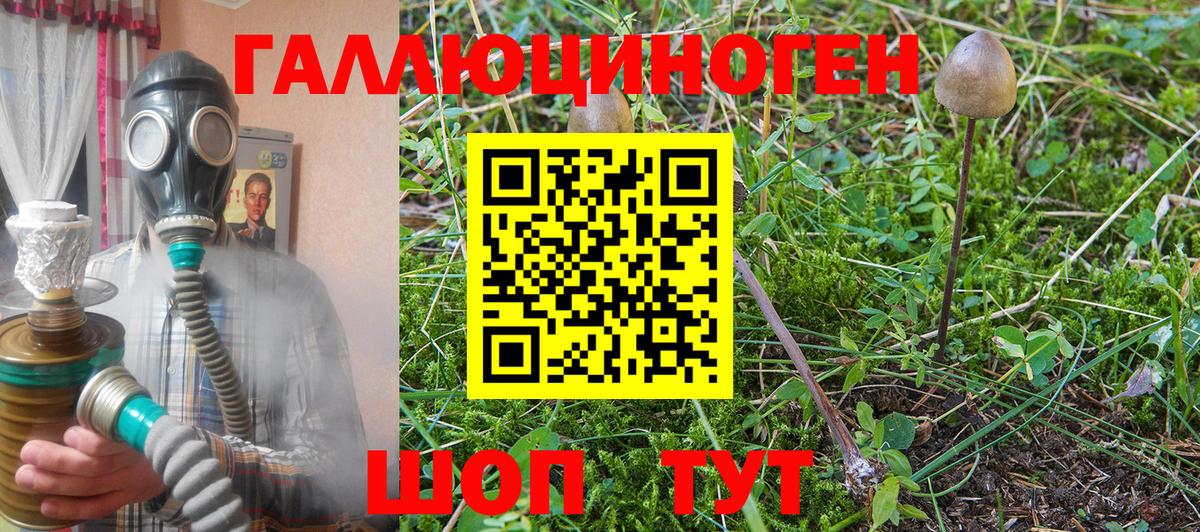 Псилоцибиновые грибы Cubensis  Вход с VPN  Галлюциногенные грибы Cubensis  магазин продажи наркотиков  Элиста 