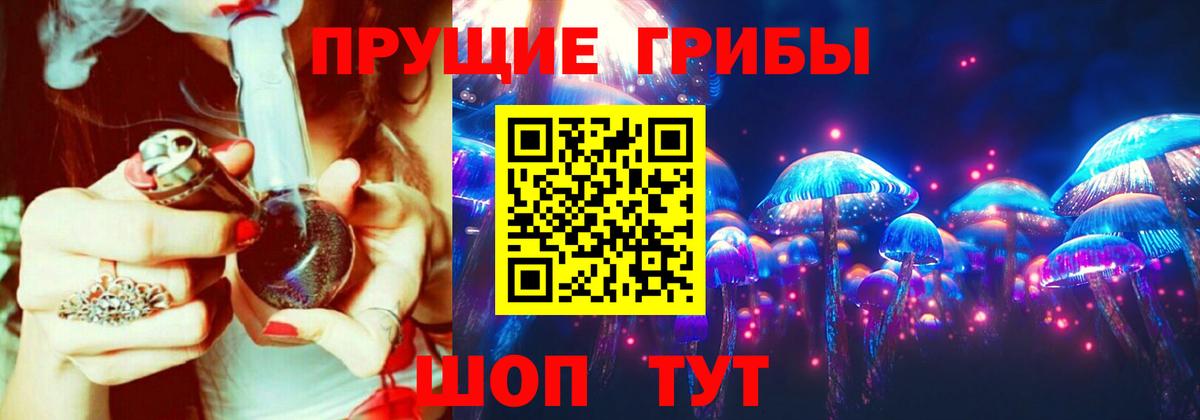 Галлюциногенные грибы прущие грибы Элиста